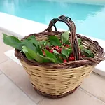 Relais Sofia
