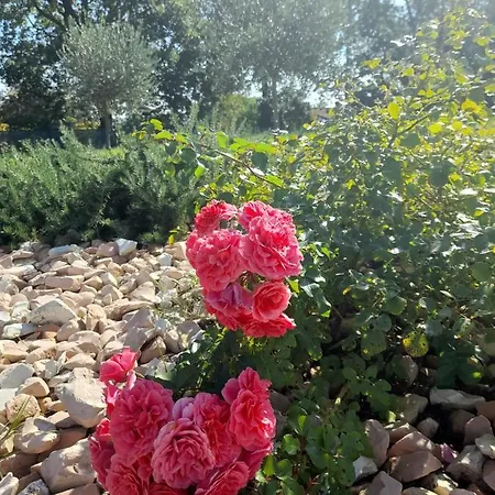 Relais Sofia Calcinelli