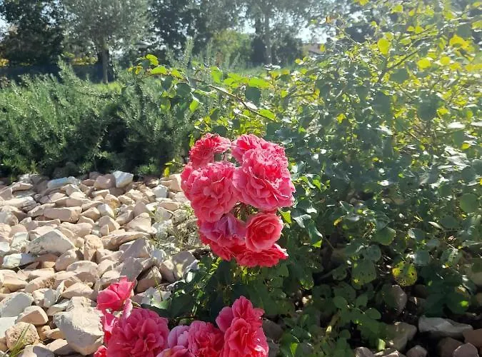 Relais Sofia Calcinelli